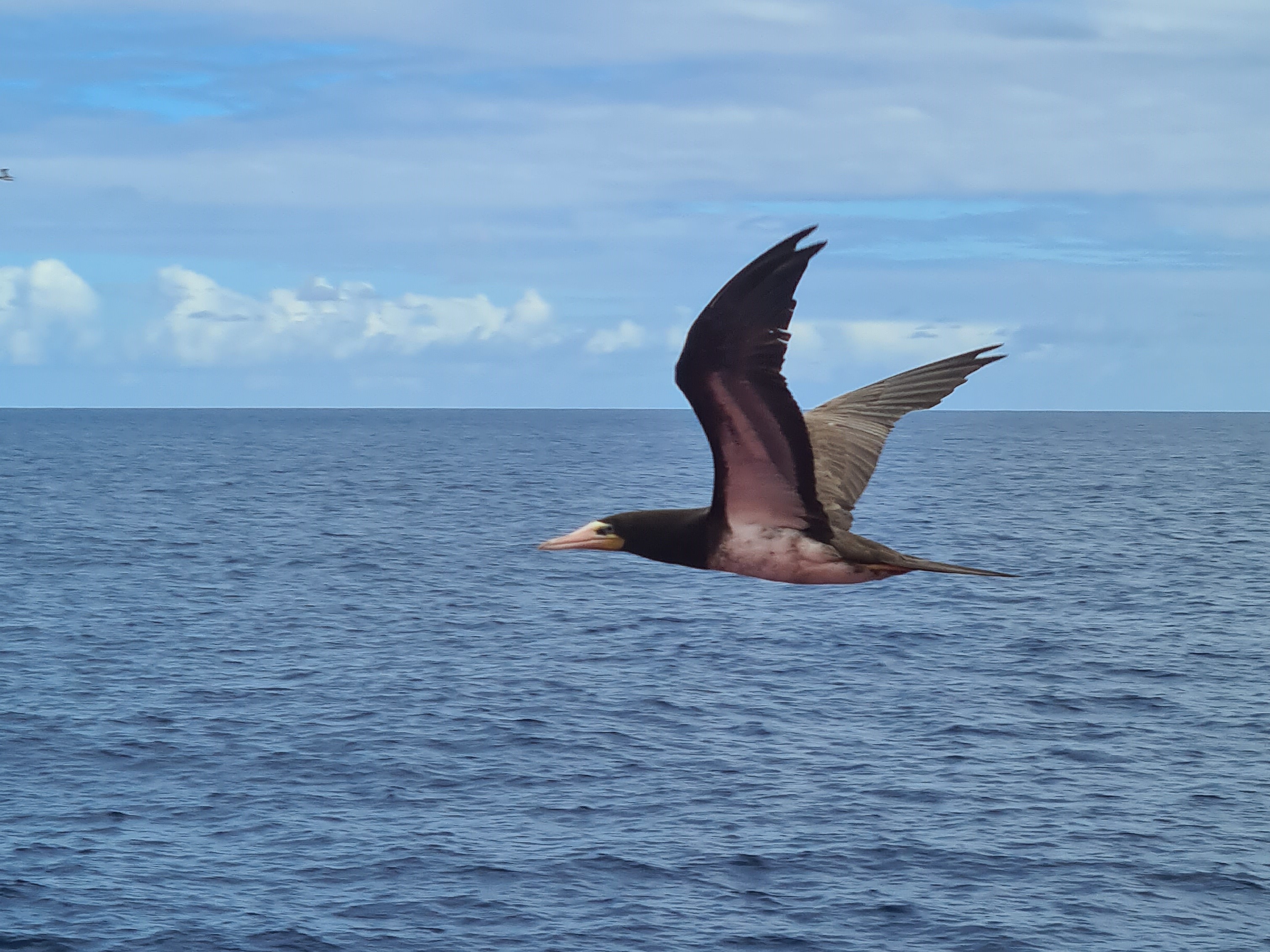 YOU CAN FOLLOW ME I CAN GUIDE YOU.jpg